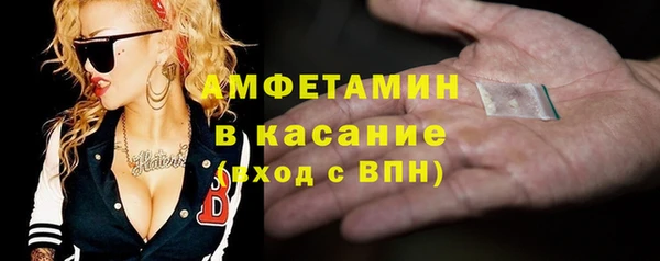 индика Абинск