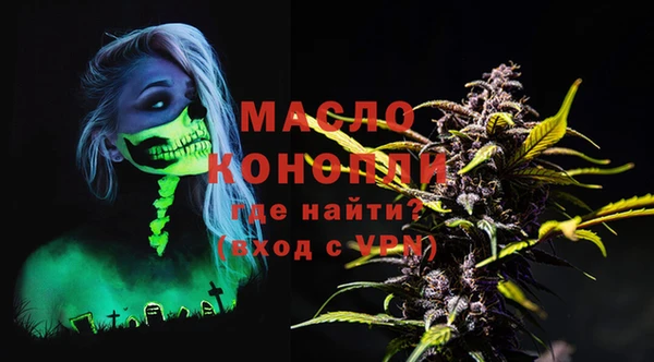 индика Абинск