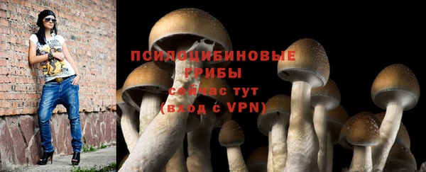 mdpv Абдулино